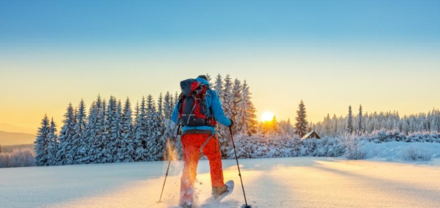 Escursionista con racchette da neve cammina nella foresta innevata al tramonto.