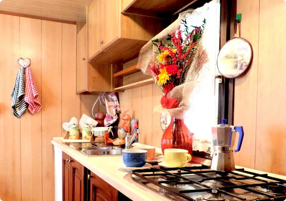 Cucina accogliente con fiori, stoviglie colorate e caffettiera su piano cottura.