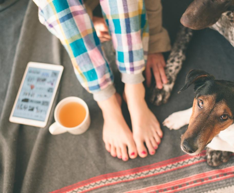 Persona con pigiama e cani, tablet e tazza di tè su coperta.