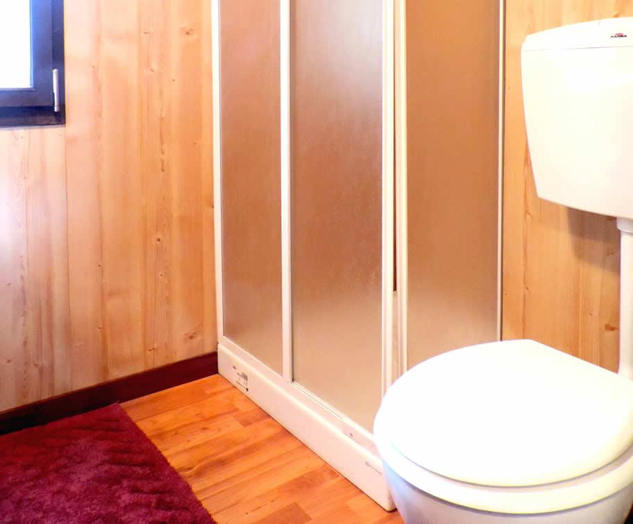 Bagno con pareti in legno, doccia e WC bianco.